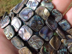 Abalone Squares, 12mm