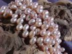 Lilac Pink, 6-6.5mm fringe pearl