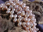 detail_6517_beadprl462z.jpg