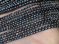 Black Peacock Rice, 2.5-3mm