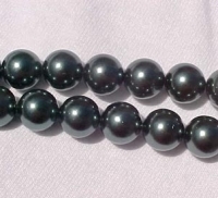 Black Peacock Shell Pearls, 8mm