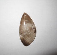 Petrified Wood Freeform Pendant, 65mm