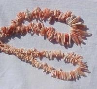Salmon Coral Shards, Graduated