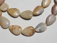 Fossilized Coral Stone Longdrill Teardrops, 30x20mm
