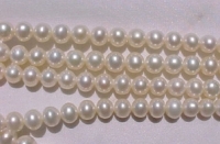 White Silk, 6.5-7mm round potato