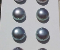 Half Drill Light Peacock Button Pearls 8-8.5mm, Pair