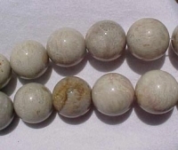 Fossilized Coral Rounds, 20mm, each