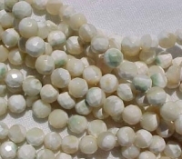 Cream Shell Faceted Rounds, 7mm