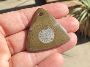 Ammonite Fossil Triangle Pendant