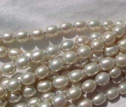 detail_1484_beadprl2321a.jpg
