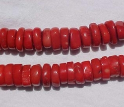 detail_1859_coral168.jpg