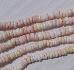 Pink Conch Puka Shell, 6-7mm