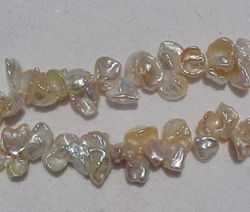 detail_1963_keshi208.jpg