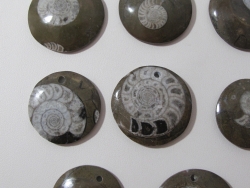 Ammonite Fossil Round Pendant