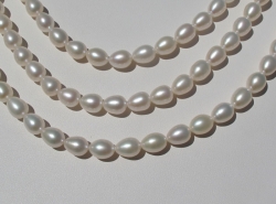 detail_2381_freshwater_pearl406.jpg