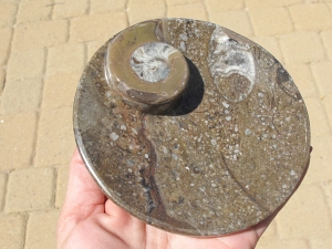detail_3125_dish5.jpg