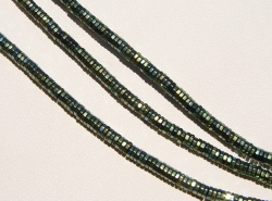 Hematite Faceted Disks, Titanium Green, 3mm