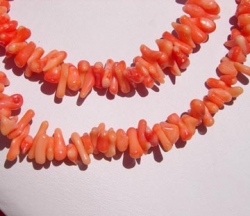 detail_31_coral245.jpg