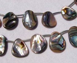 detail_3246_shel300.jpg