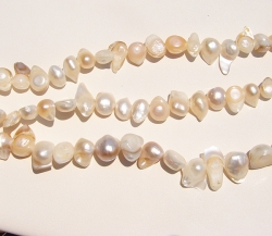 Mabe Shell Pieces, Natural Cream
