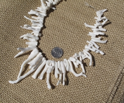 detail_3900_coral_bead28c.jpg