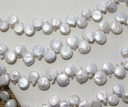 Top Drilled White Coin Pearls w/points, 8-8.5mm