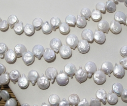 detail_395_coin_pearl05.jpg