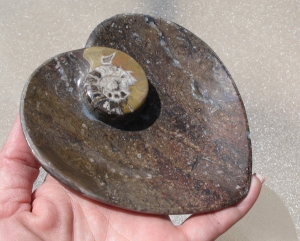 Fossil Stone Heart Dish, Brown Small