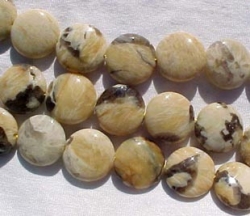 Leopardskin Jasper Coins, 20mm