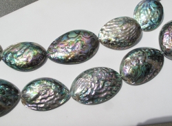 Abalone Half Shell Pendant/Bead, 40-52mm
