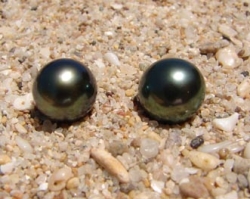 detail_4559_pearl253.jpg