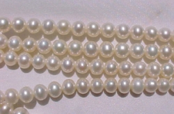 White Silk, 6.5-7mm round potato