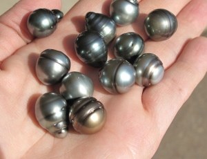  Best Buy- Tahitian/South Sea Pearl, 12-13mm