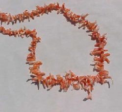detail_6116_coral150.jpg