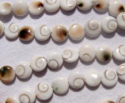 Shiva Eye Shell Bits, 8mm