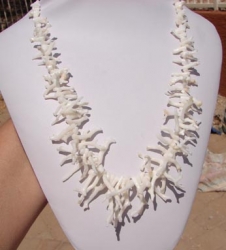 detail_6449_coral228.jpg