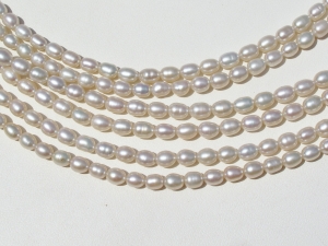 Cream Silver, 4.5-5mm rice