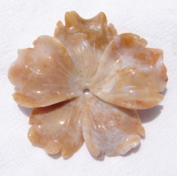 Carved Ocean Jasper Flower, tan/gray