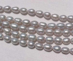 detail_686_beadprl1955.jpg