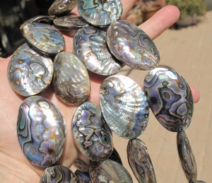 Abalone Full Shell Pendant/Bead, 32-36mm