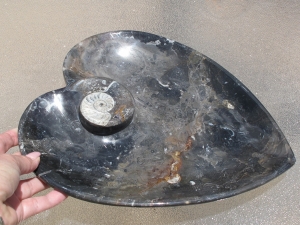 detail_876_dish4b.jpg