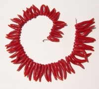 Mediterranean Red Chili Pepper Coral, Graduated 13-28mm