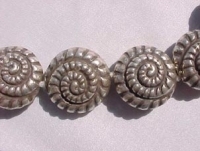 Spiral Seashells, Large