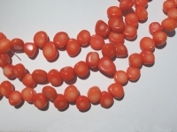 Orange Coral Top Drill Coins, 8-10mm