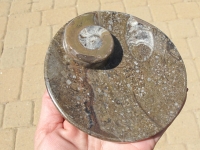 Fossil Stone Round Dish, Brown Medium