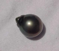 Black Champagne Peacock Tahitian Pearl, 13mm