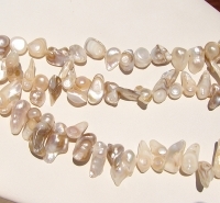Mabe Shell Pieces, Natural Beige Gold
