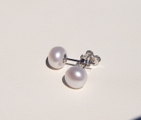 7.5-8mm Button Pearl Stud Earrings, White Grade AA, Sterling