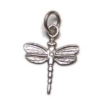 Dragonfly Charm