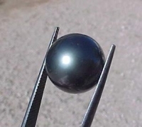 Tahitian Pearl Charcoal Black, 12-12.5mm
